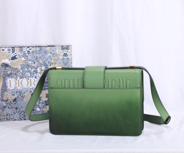 Dior Montaigne Gradient Color Bag - Green - Image 5