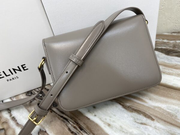 Celine Teen Triomphe Canvas And Calfskin Handbag - Gray - Image 4